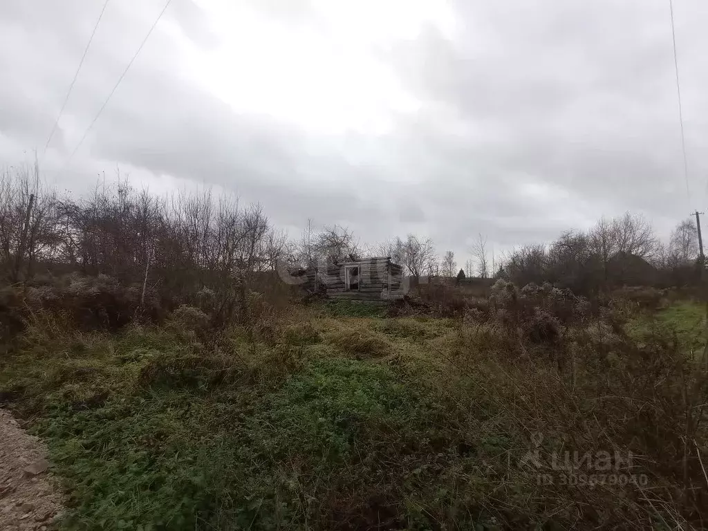 Дом в Псковская область, Островская волость, д. Карпово ул. ... - Фото 1