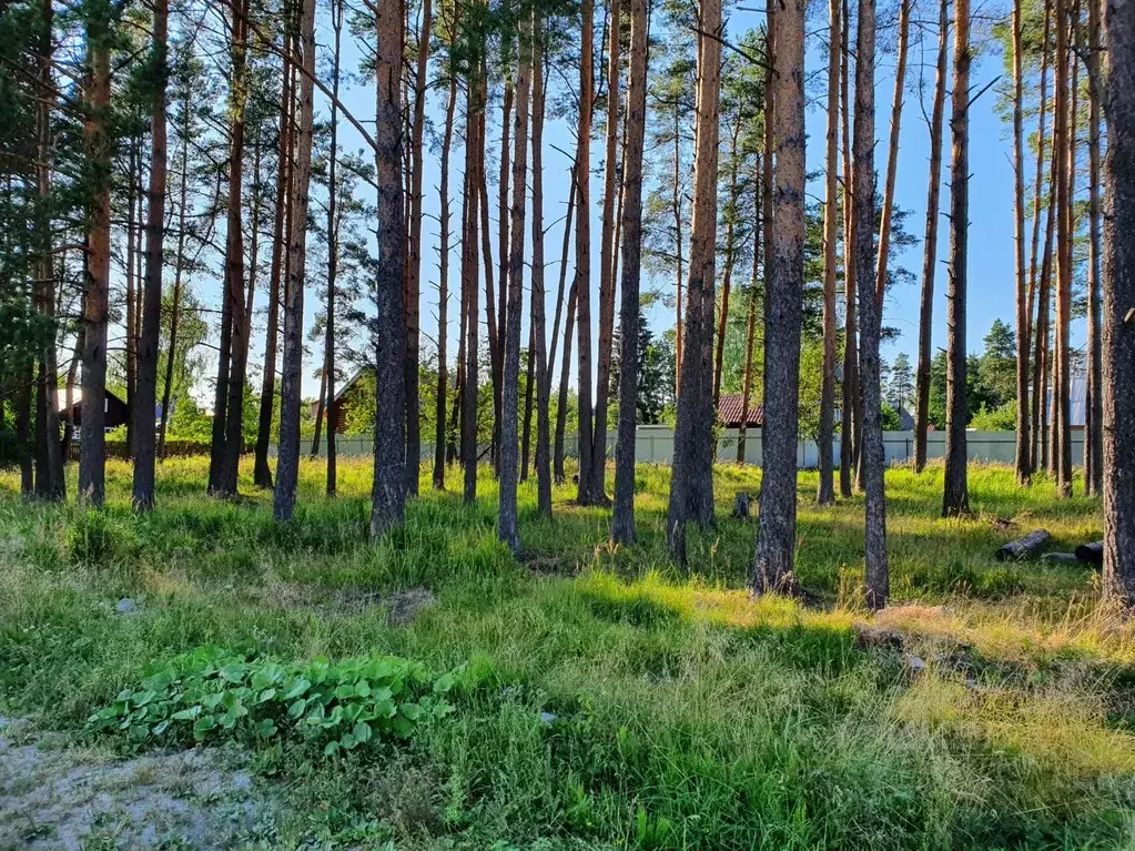 Участок в Ленинградская область, Гатчинский район, Вырица городской ... - Фото 0