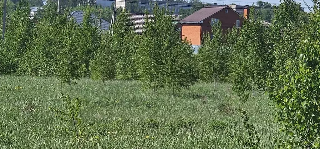 Участок в Московская область, Луховицы муниципальный округ, пос. ... - Фото 2
