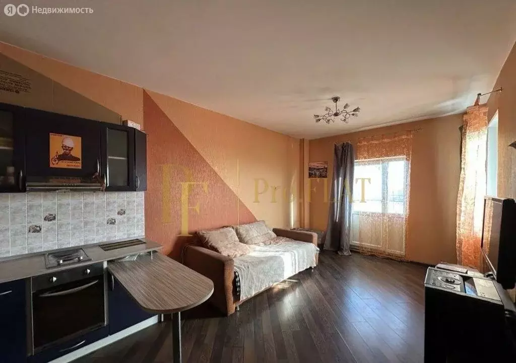 Квартира-студия: Санкт-Петербург, улица Крыленко, 43к3 (28.7 м) - Фото 1