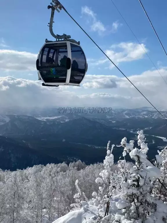 Участок в Алтай, Майминский район, с. Озерное ул. Центральная (10.0 ... - Фото 0