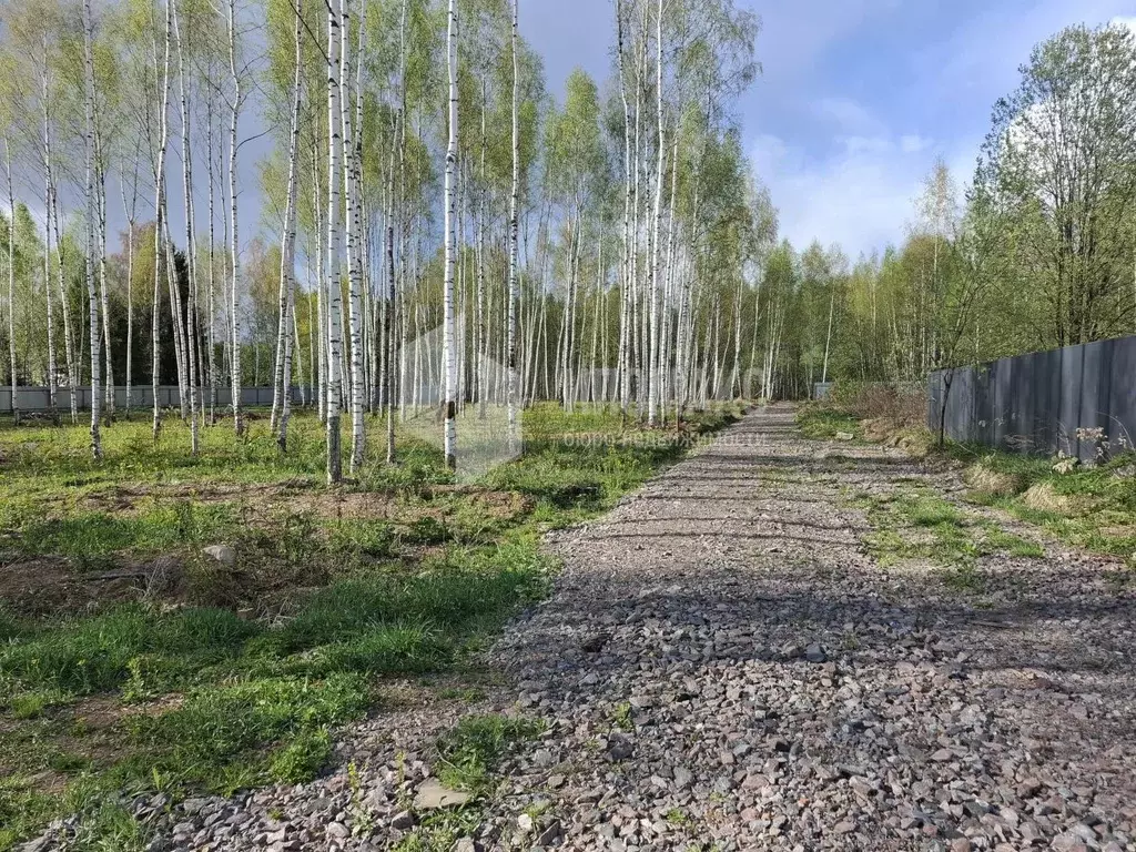 Участок в Москва Кристалл СНТ, 10 (7.5 сот.) - Фото 2