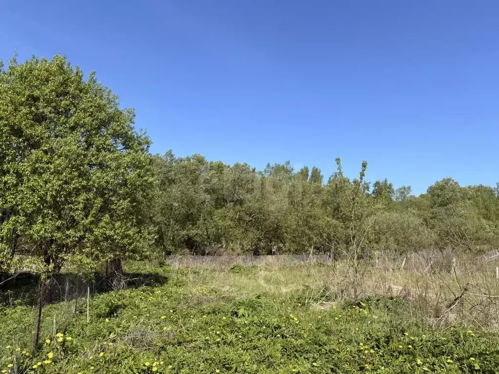 Участок в Смоленская область, Смоленск пос. Миловидово,  (4.28 сот.) - Фото 1