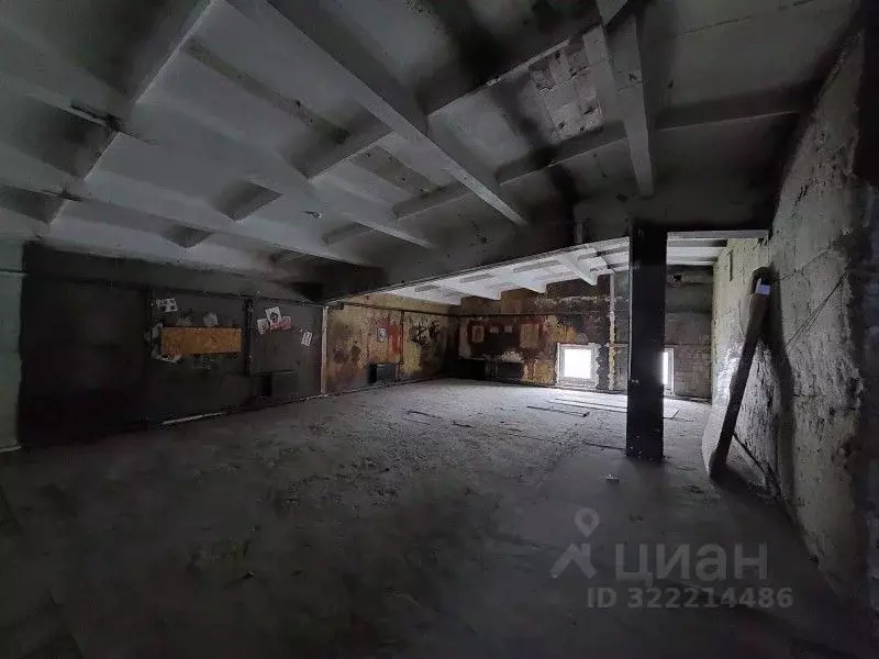 Производственное помещение в Санкт-Петербург Промышленная ул., 5 (548 ... - Фото 2