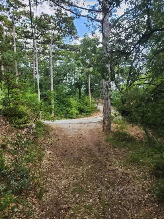 Участок в Крым, Ялта муниципальный округ, Восход пгт ул. Наташинская, ... - Фото 1