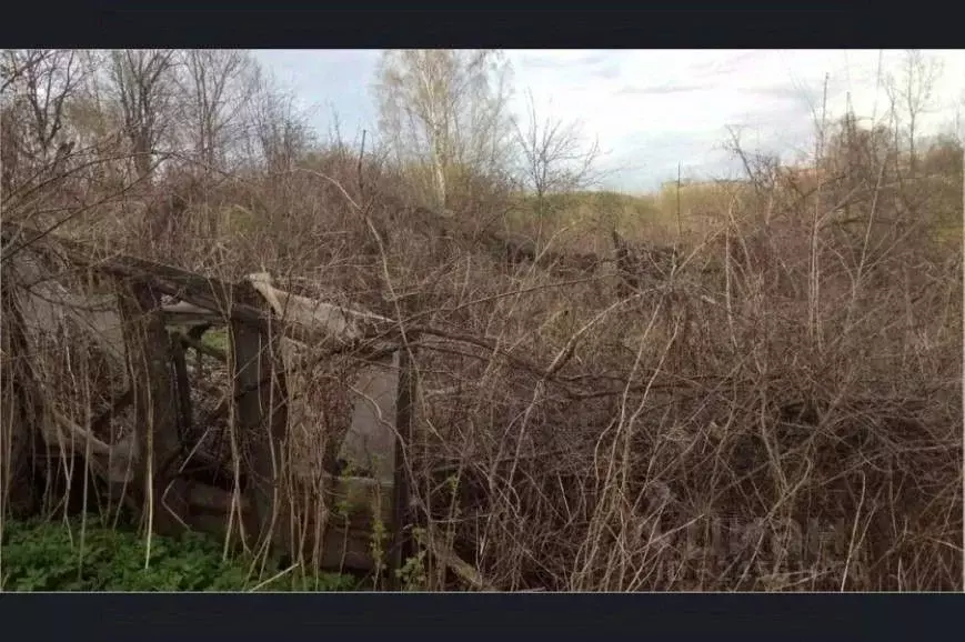 Участок в Белгородская область, Белгородский район, Комсомольское ... - Фото 1