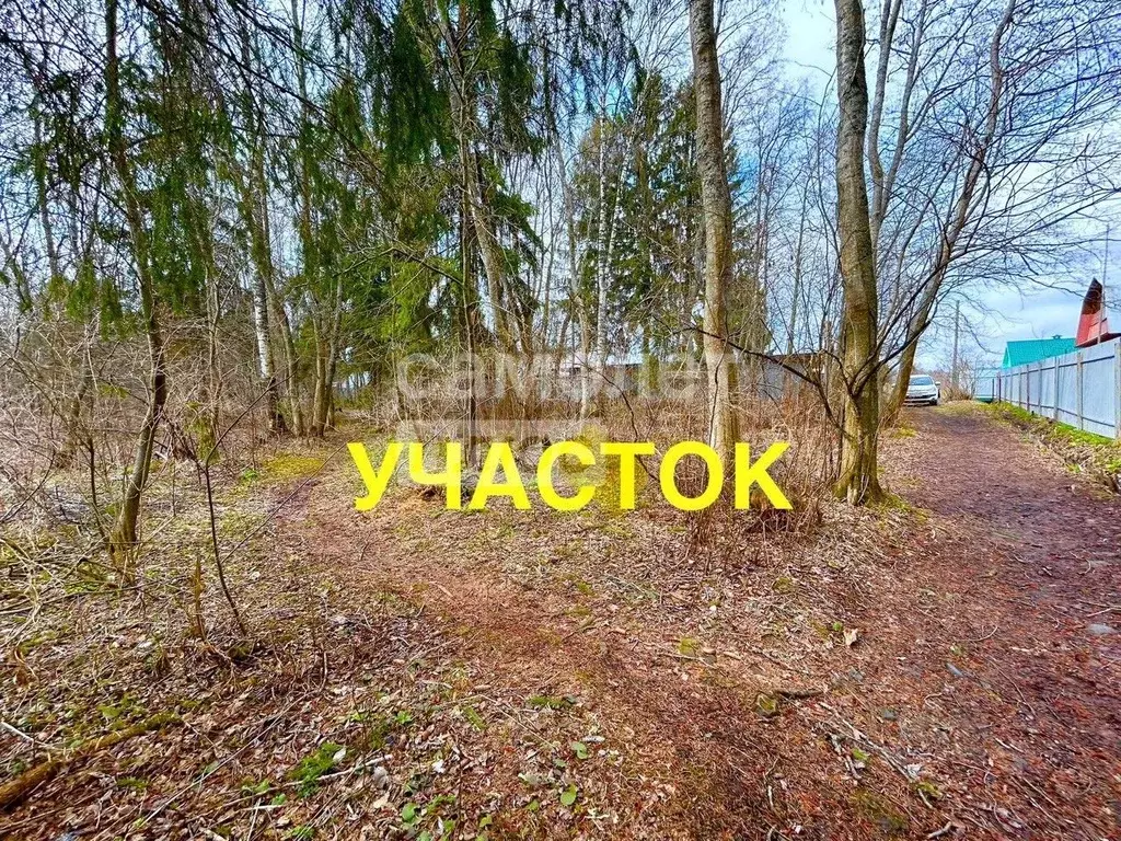 Участок в Вологодская область, Череповецкий район, Ирдоматское с/пос, ... - Фото 1