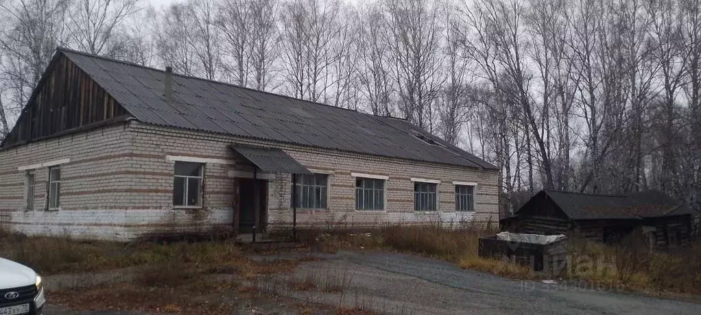 Помещение свободного назначения в Томская область, с. Зырянское  (269 ... - Фото 1