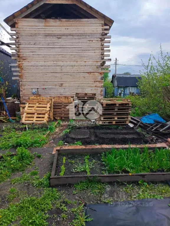 Участок в Новосибирская область, Новосибирск Новый Мир садовое ... - Фото 0