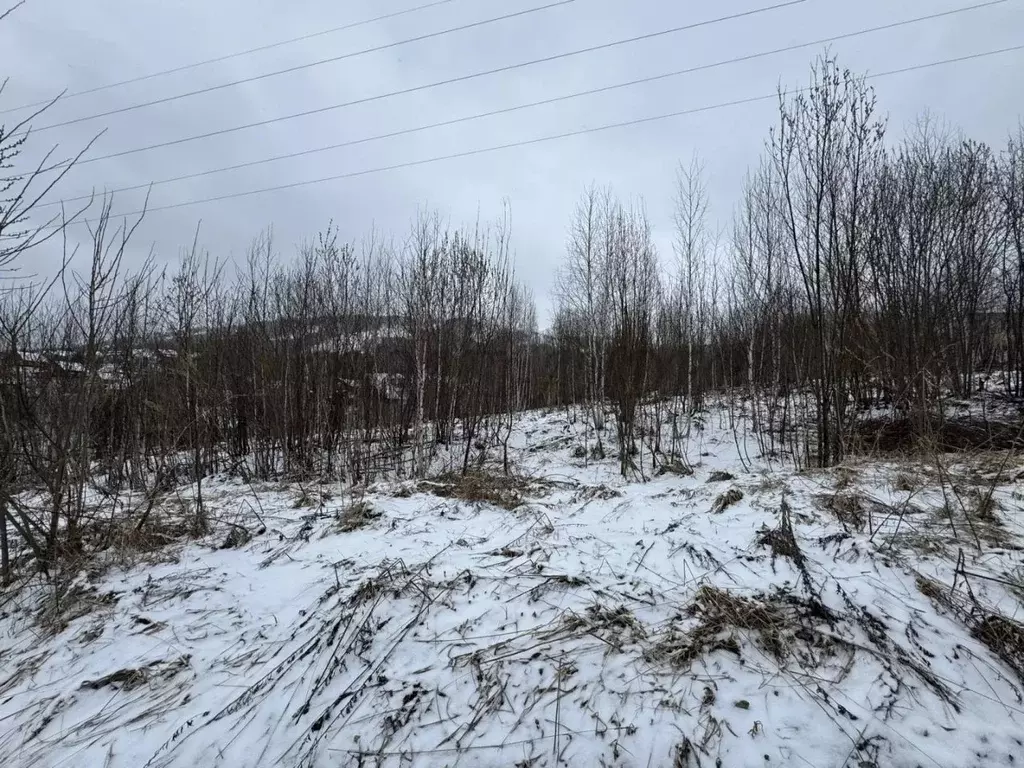 Участок в Алтай, Горно-Алтайск ул. Манжерокская (9.3 сот.) - Фото 1