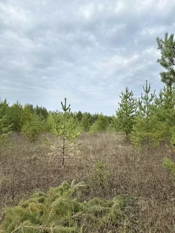 Участок в Кировская область, Киров городской округ, д. Олинцы ул. ... - Фото 0