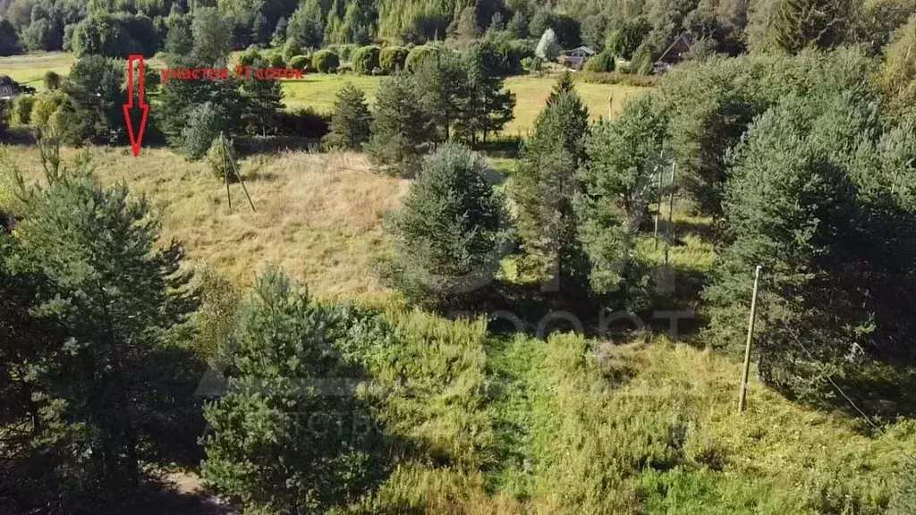 Участок в Ленинградская область, Приозерский район, Красноозерное ... - Фото 1