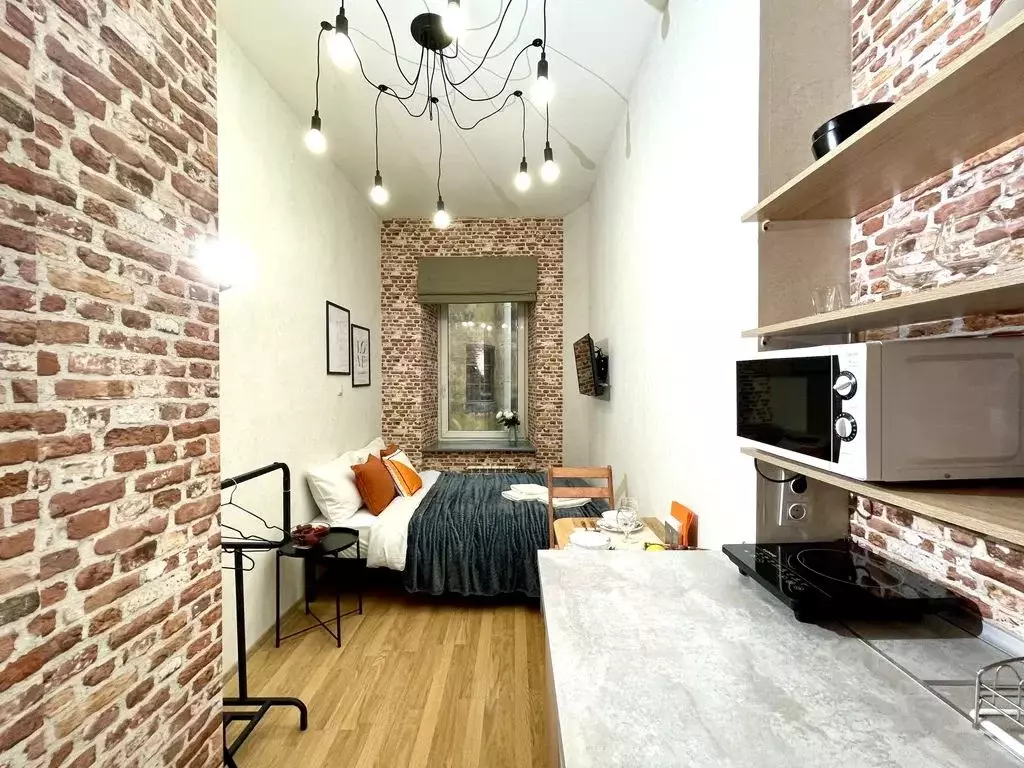 Студия Санкт-Петербург Манежный пер., 15-17 (17.0 м) - Фото 0