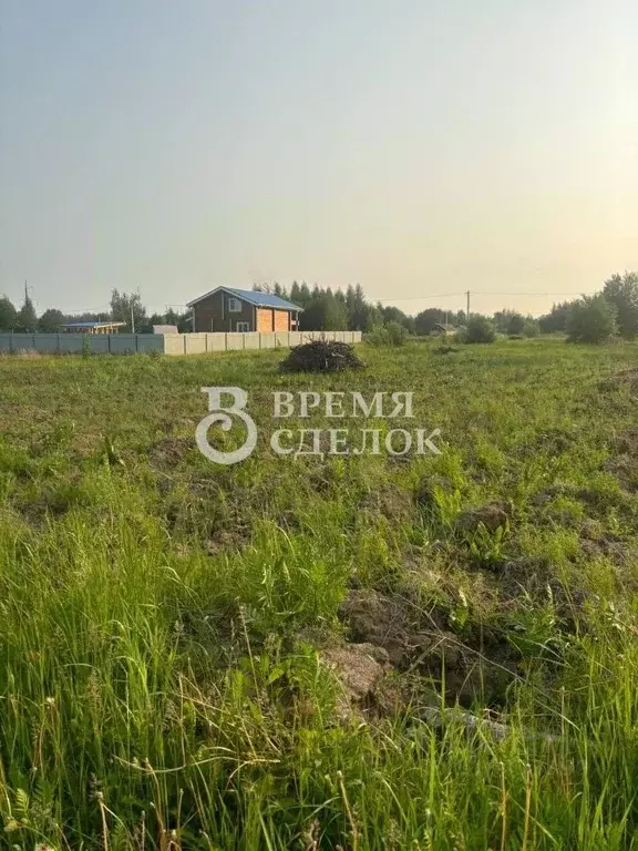 Участок в Владимирская область, Суздальский район, Новоалександровское ... - Фото 1