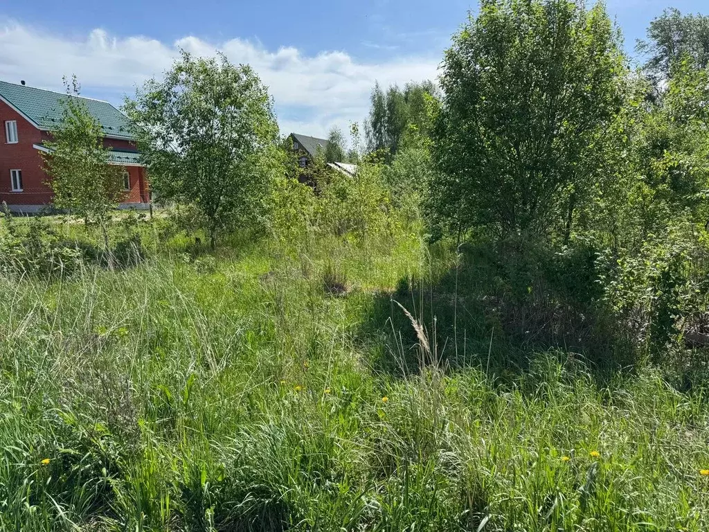 Участок в Московская область, Богородский городской округ, с. ... - Фото 0