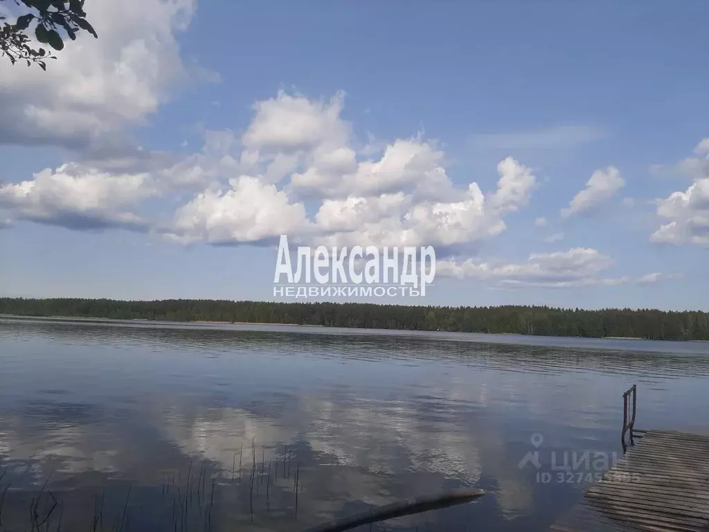 Участок в Ленинградская область, Приозерский район, Громовское с/пос, ... - Фото 2