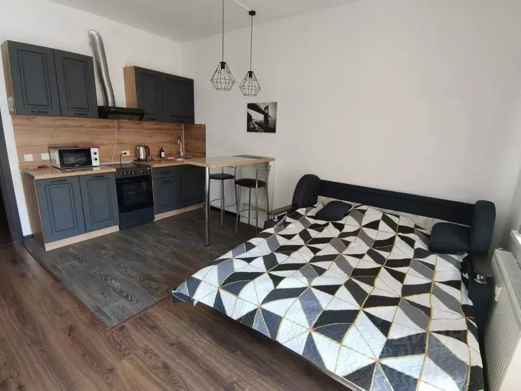 Студия Санкт-Петербург Новолитовская ул., 14 (29.0 м) - Фото 0