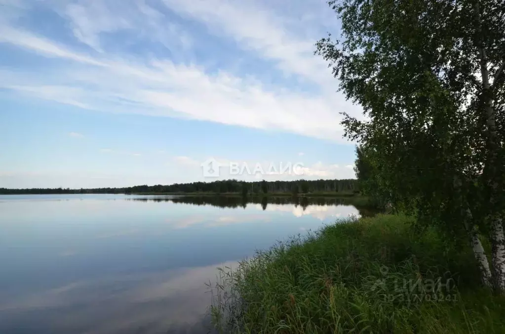 Участок в Московская область, Клин городской округ, д. Подорки ул. ... - Фото 0