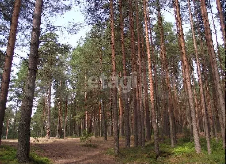 Участок 13,5 сот. (ИЖС) - Фото 1