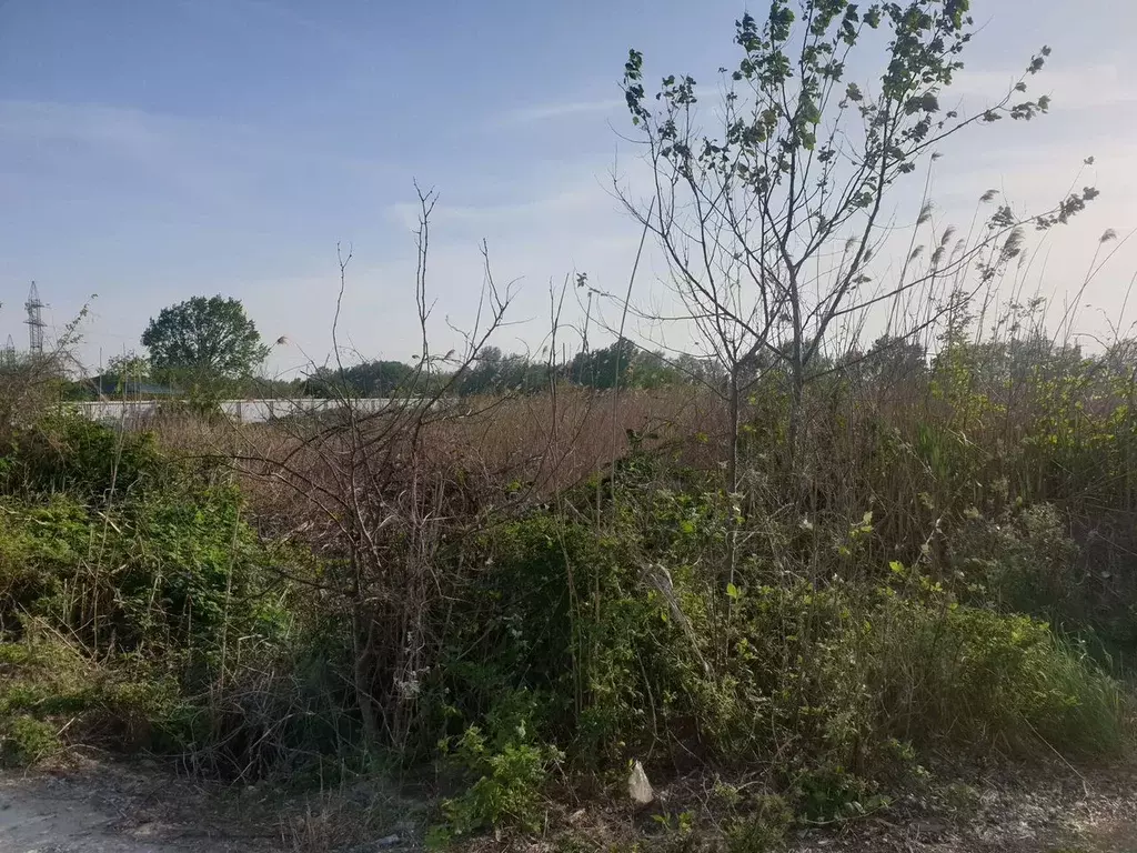 Участок в Краснодарский край, Темрюк ул. Победы (5.0 сот.) - Фото 2