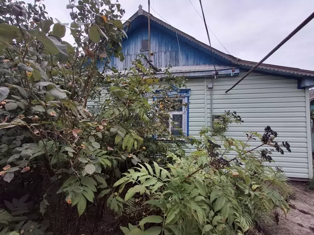 Дом в Краснодарский край, Абинск ул. Крылова (30 м) - Фото 1