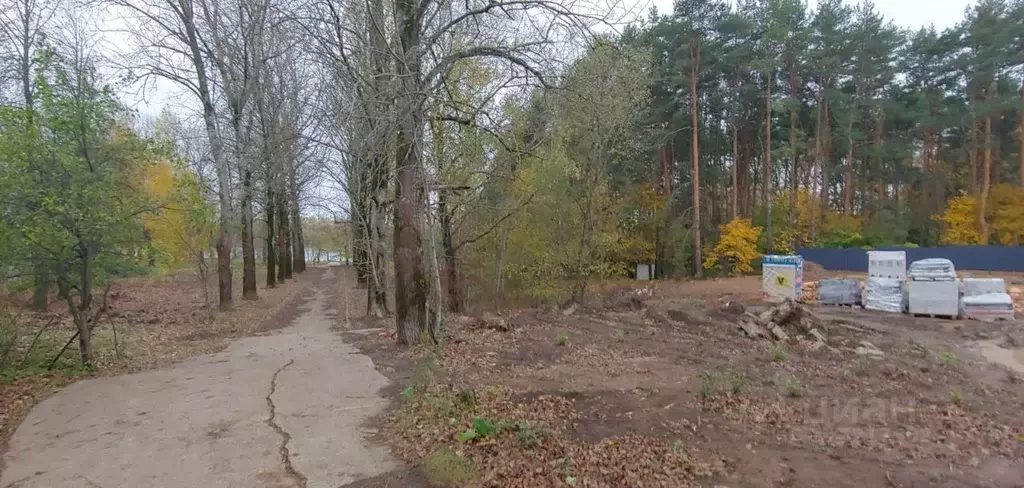 Участок в Московская область, Домодедово городской округ, с. Растуново ... - Фото 0