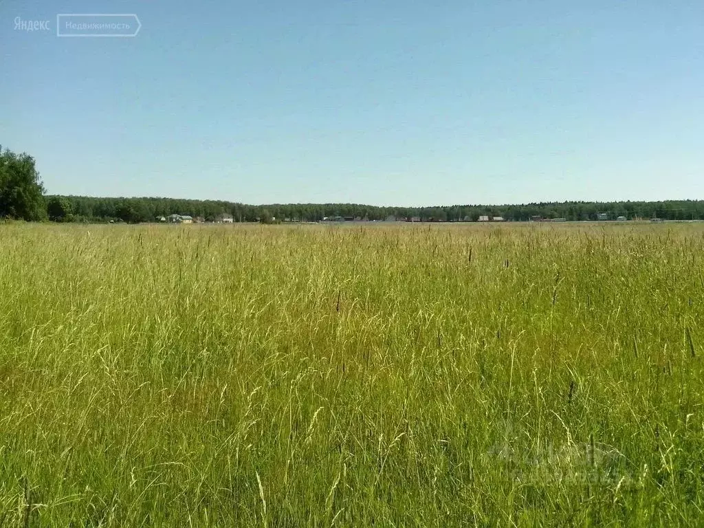 Участок в Тульская область, Новогуровский рп  (208.0 сот.) - Фото 1