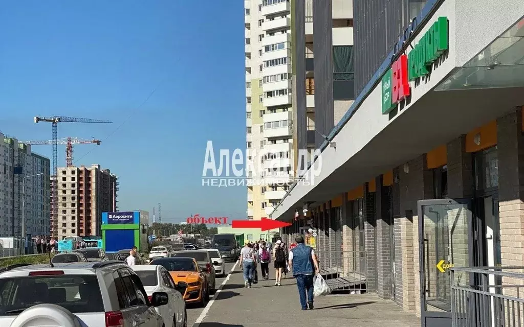 Торговая площадь в Санкт-Петербург пос. Шушары, просп. Старорусский, ... - Фото 1