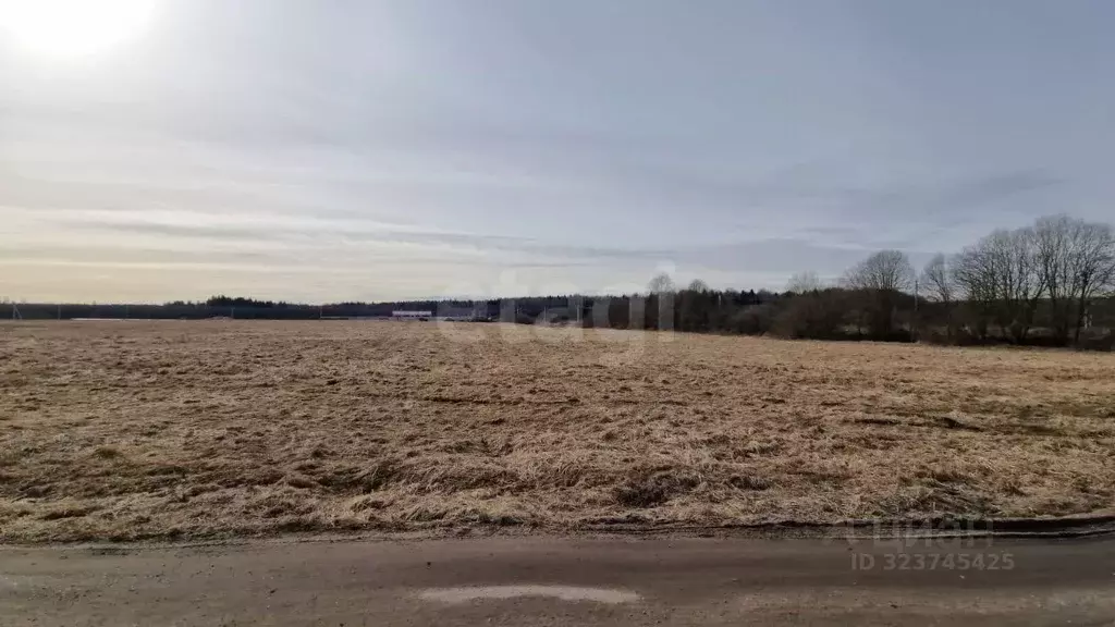 Участок в Тверская область, Калининский муниципальный округ, пос. ... - Фото 1