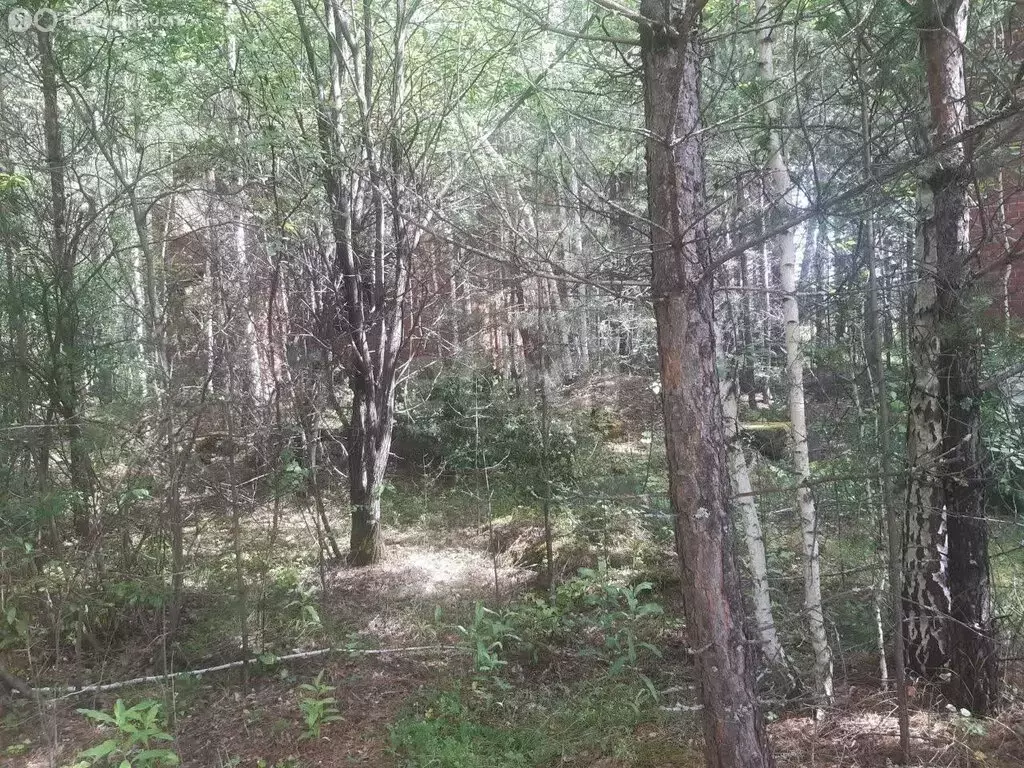 Участок в Свердловская область, Сысертский муниципальный округ, ... - Фото 1