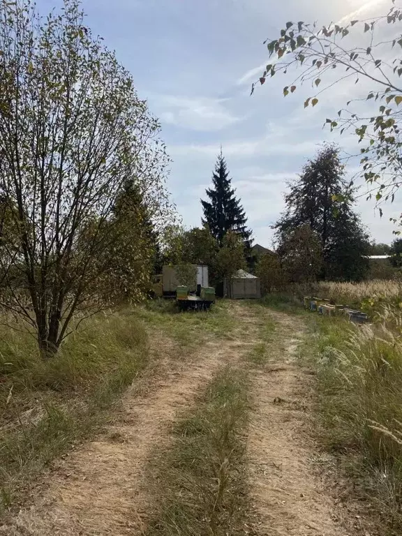 Участок в Московская область, Коломна городской округ, д. Жиливо ул. ... - Фото 1