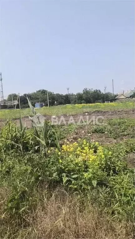 Участок 4 сот. (СНТ, ДНП) - Фото 0