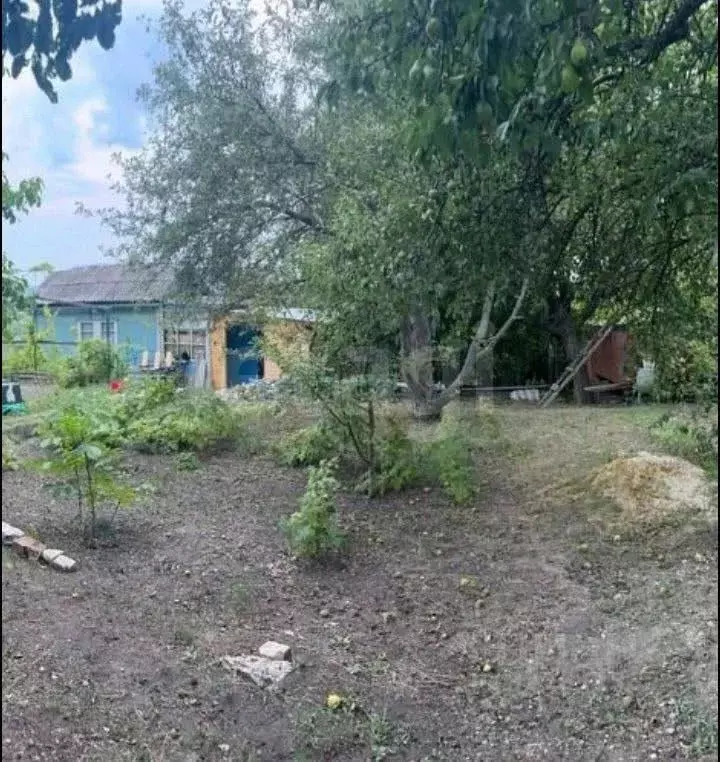 Дом в Саратовская область, Саратов проезд 1-й Черничный (36 м) - Фото 1