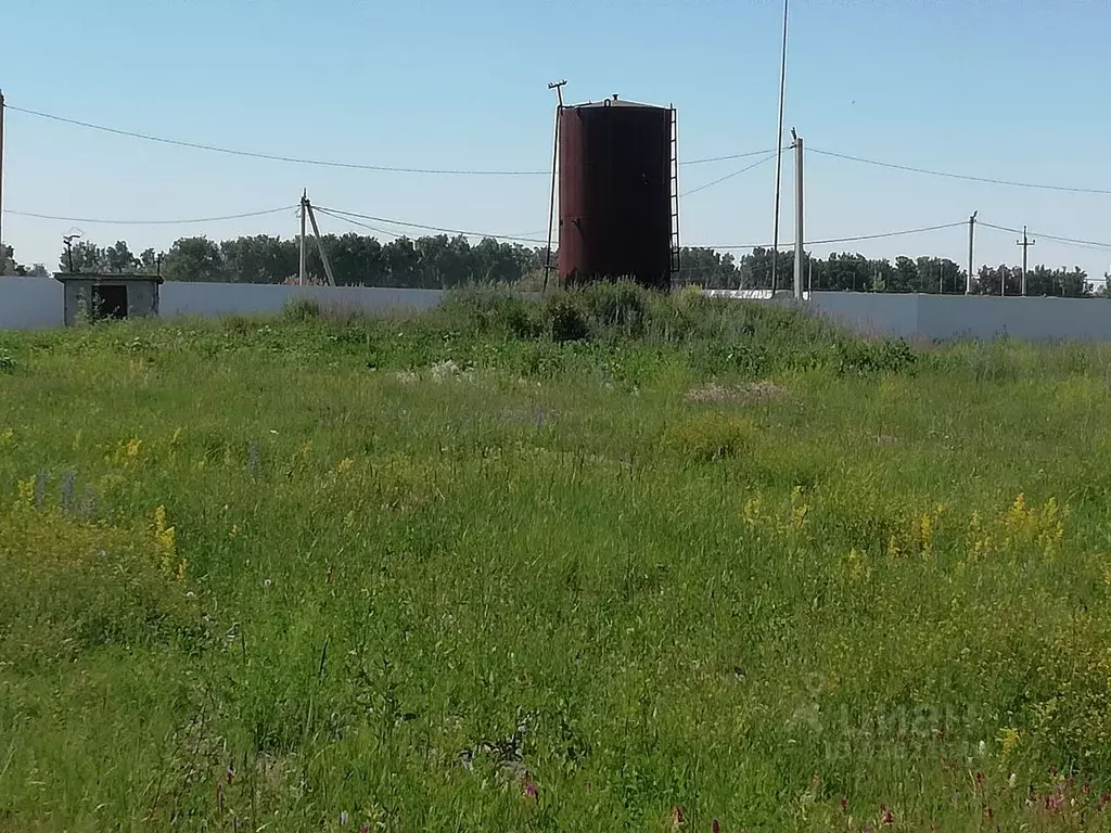 Производственное помещение в Саратовская область, Лысогорский район, ... - Фото 1