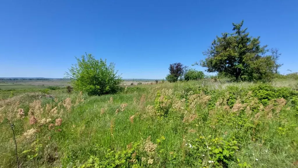 Участок в Краснодарский край, Темрюк Надежда СОТ,  (8.0 сот.) - Фото 1