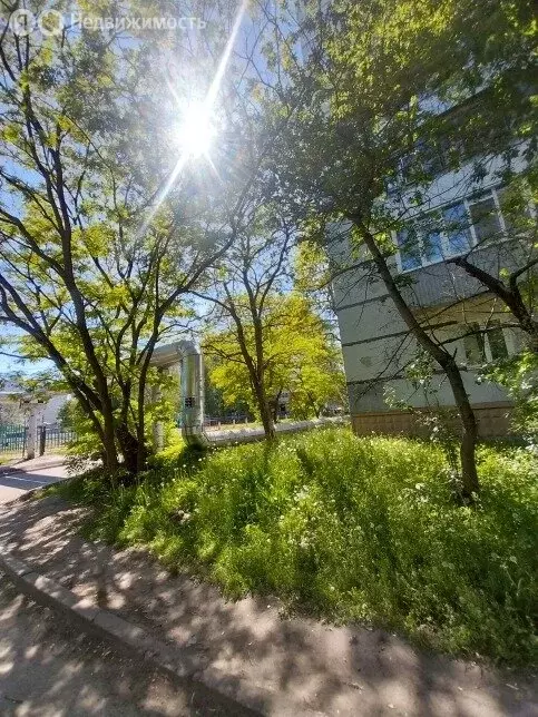 1-комнатная квартира: Пенза, проспект Строителей, 56 (35.2 м) - Фото 0