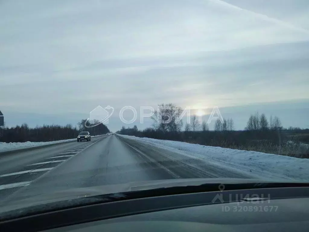 Участок в Тюменская область, Тюмень Велижанский тракт, 7-й км, 2 ... - Фото 1