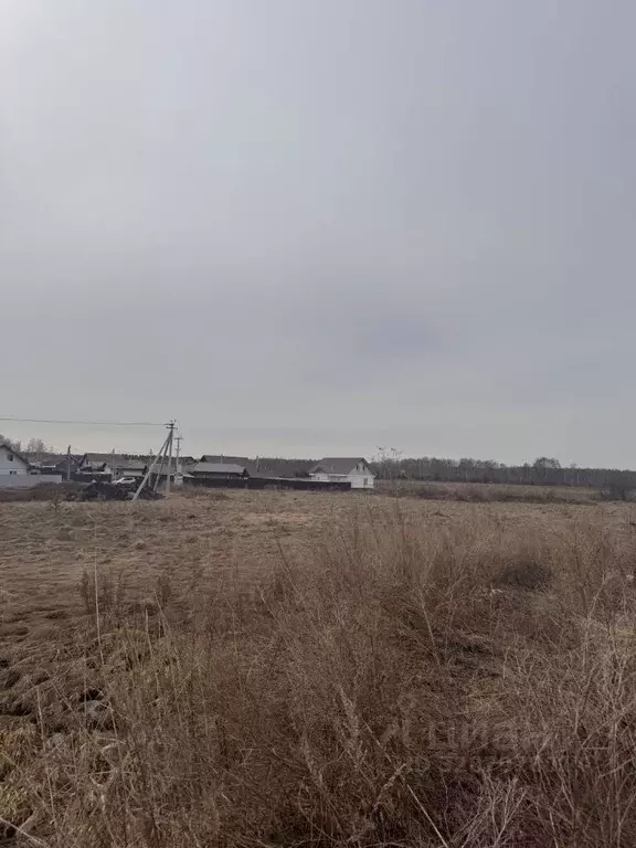 Участок в Челябинская область, Сосновский муниципальный округ, с. ... - Фото 2
