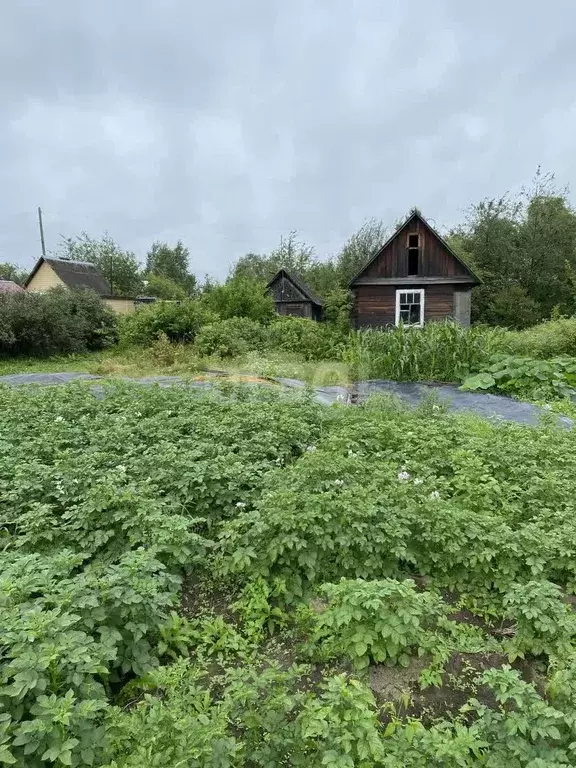 Дача, 20 м - Фото 0
