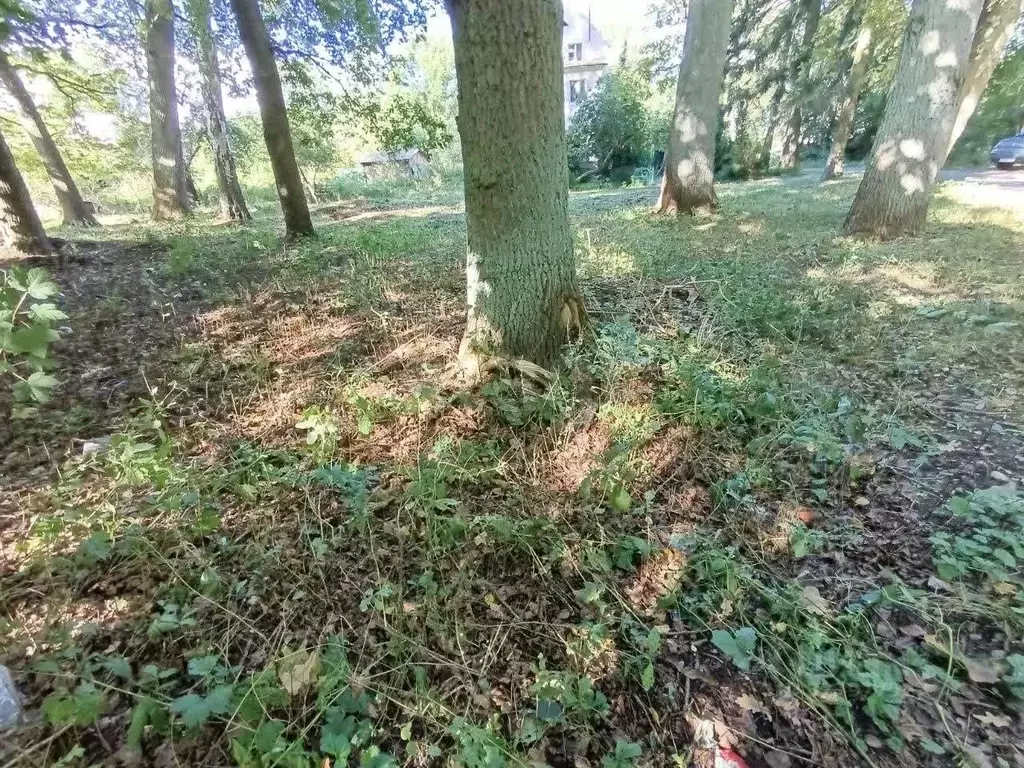 Участок в Калининградская область, Калининград Александра ... - Фото 2