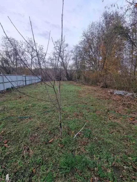 Дом в Краснодарский край, Новороссийск городской округ, Раевская ст-ца ... - Фото 0