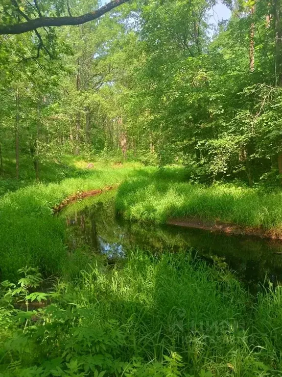 Участок в Нижегородская область, Балахнинский муниципальный округ, ... - Фото 1