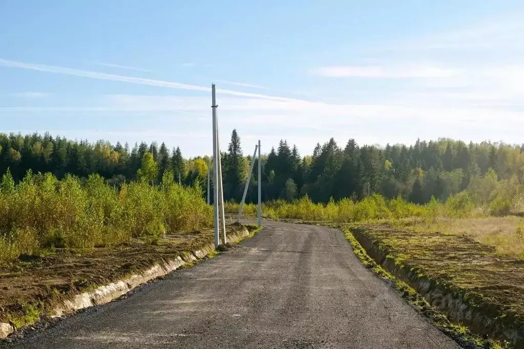Участок в Ленинградская область, Всеволожский район, Агалатовское ... - Фото 2