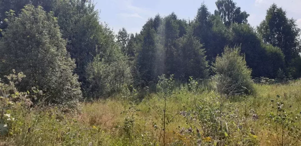 Участок в Владимирская область, Александровский муниципальный округ, ... - Фото 1