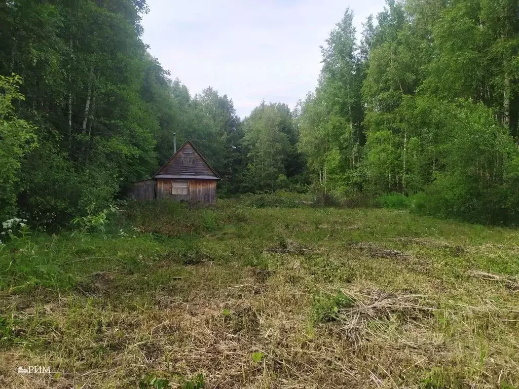 Участок в Вологодская область, Кадуйский муниципальный округ, д. ... - Фото 1