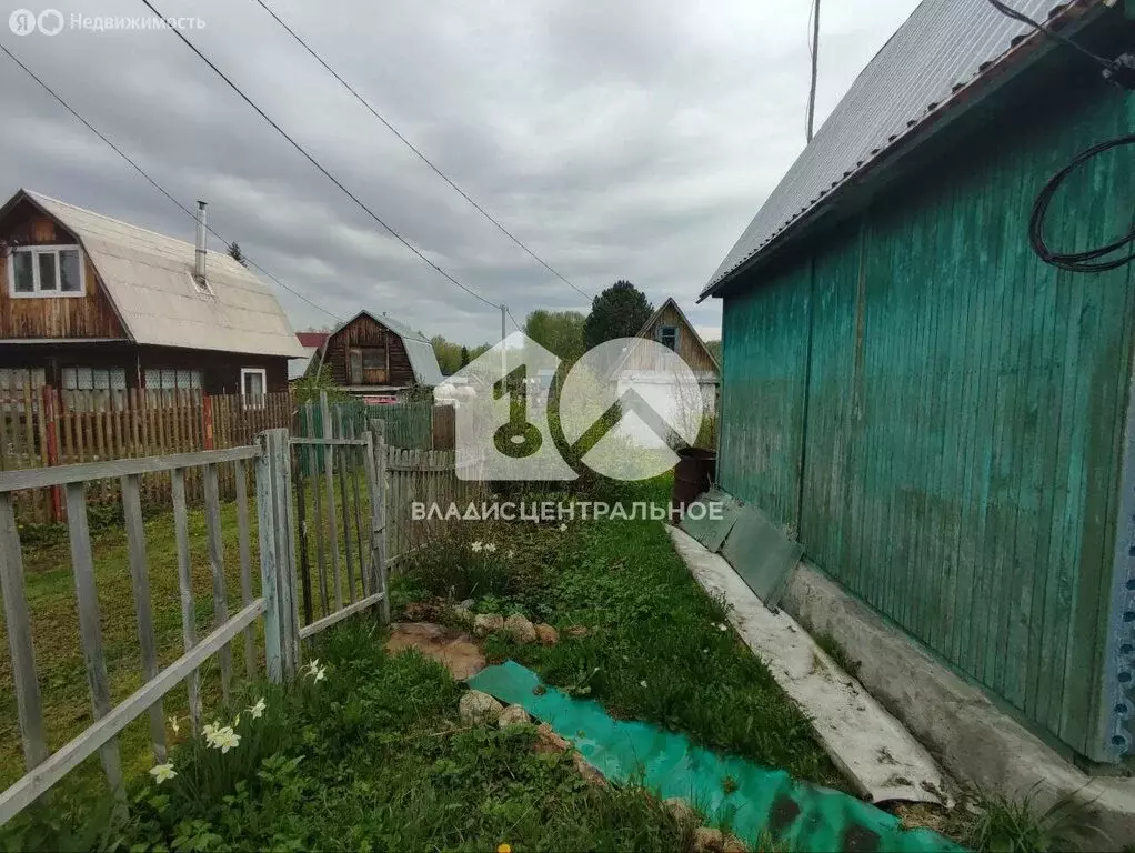 Дом в Мошковский район, НСТ Овощевод, Берёзовая улица, 291 (32 м) - Фото 1