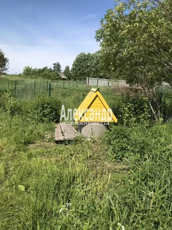 Участок в Новгородская область, Валдайский муниципальный округ, ... - Фото 2