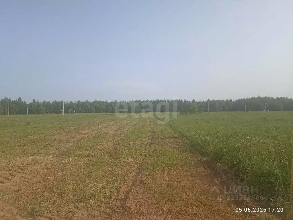 Участок в Костромская область, Кострома  (15.14 сот.) - Фото 1