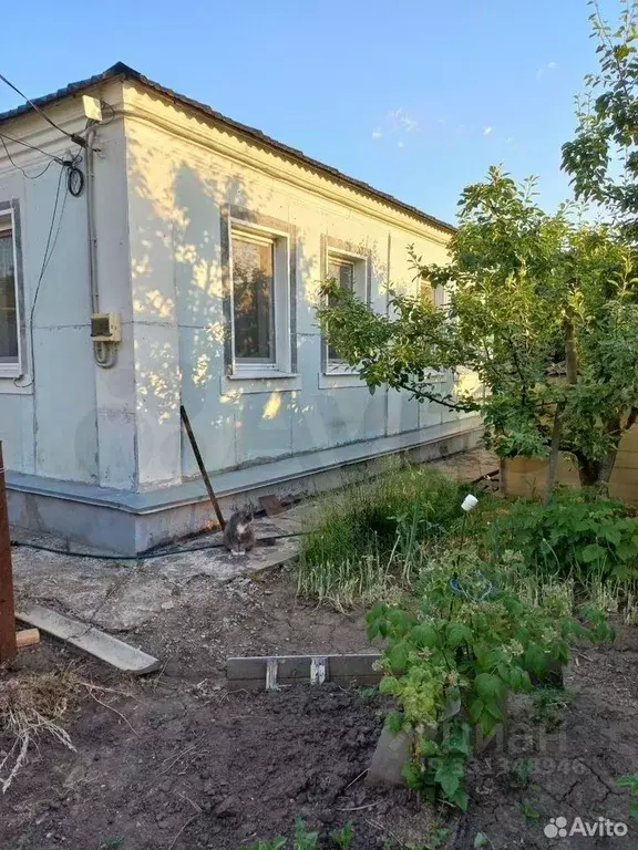 Дом в Белгородская область, Старый Оскол ул. Горького (62 м) - Фото 2