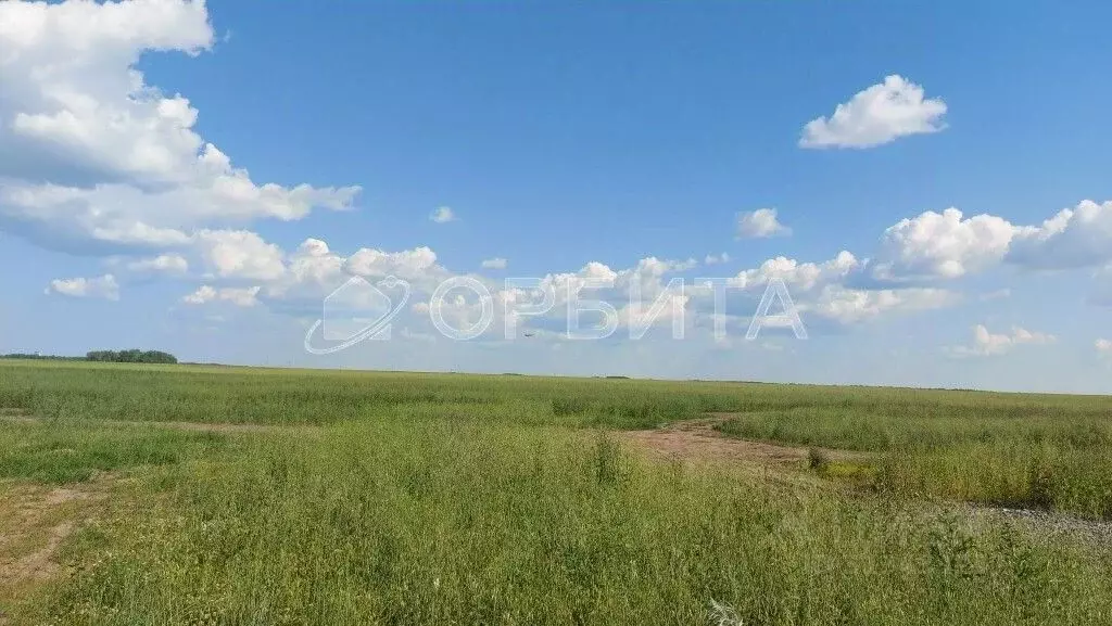 Участок в Тюменская область, Тюменский район, с. Каменка  (8.0 сот.) - Фото 0